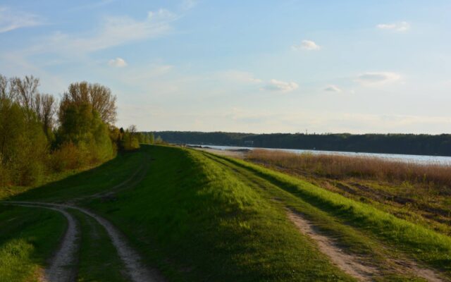 11406211_975141639203678_2342991829302361913_o