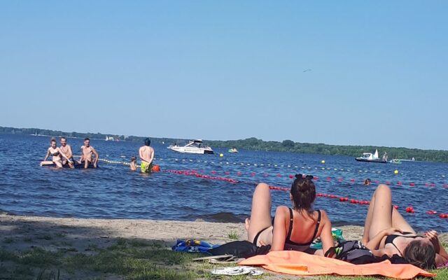 36778573_2011028635614968_5468573045276803072_n