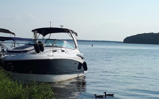 36912959_2011031742281324_4364742333963436032_n